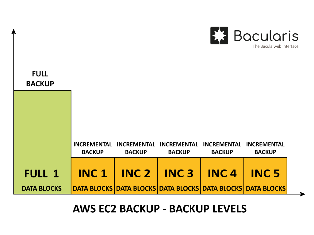 ../../_images/bacularis_plugin_aws_ec2_backup_levels.png