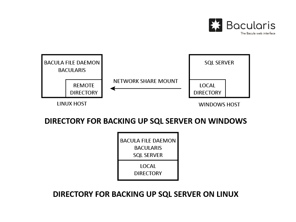 Common backup directory - Microsoft SQL Server backup