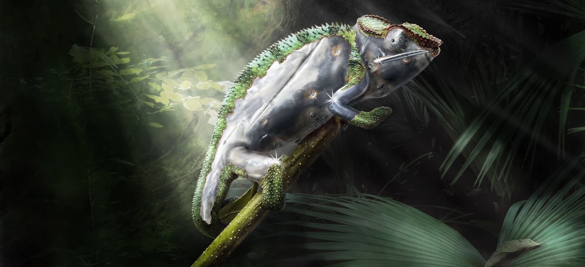<p>We are pleased to announce that we are preparing binary packages of Bacularis for openSUSE Leap 16.0.</p>