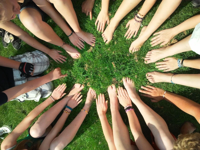 Bacularis Community
